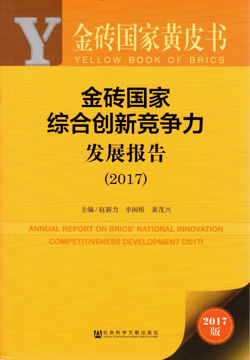 嗯,啊,啊大鸡巴视频金砖国家综合创新竞争力发展报告（2017）